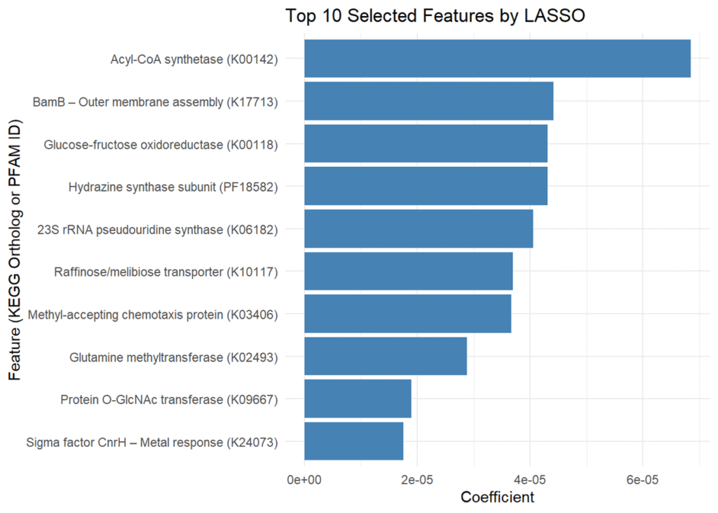 Top 10 Selected Features by LASSO